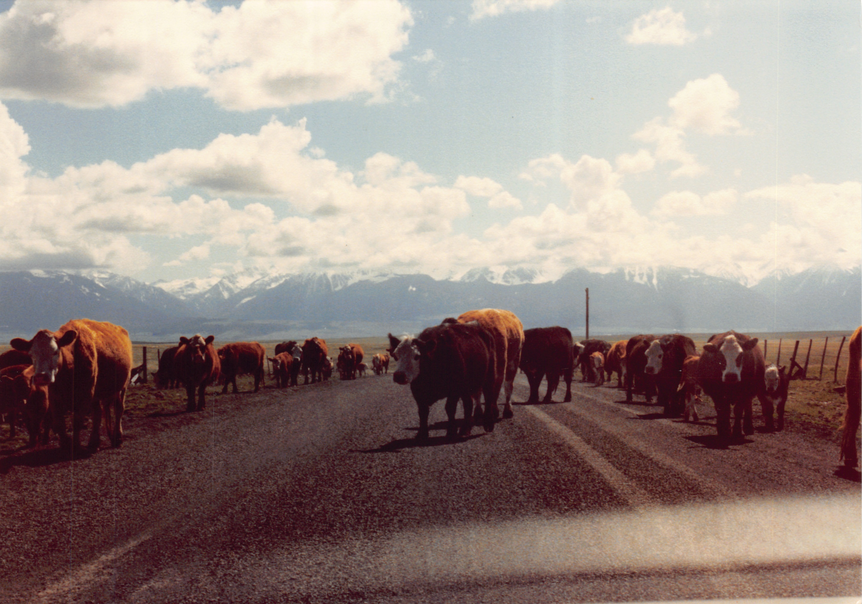 1985_Part 2_01_051.jpg